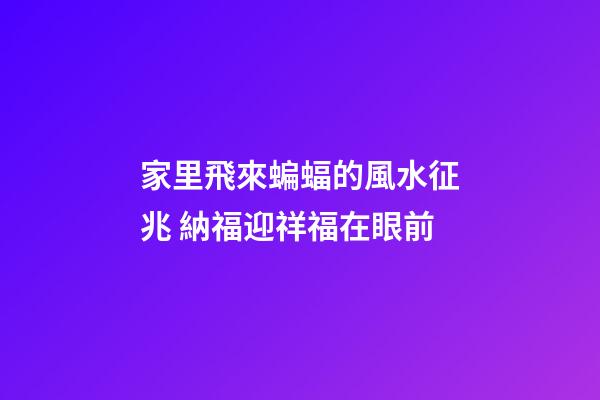 家里飛來蝙蝠的風水征兆 納福迎祥福在眼前